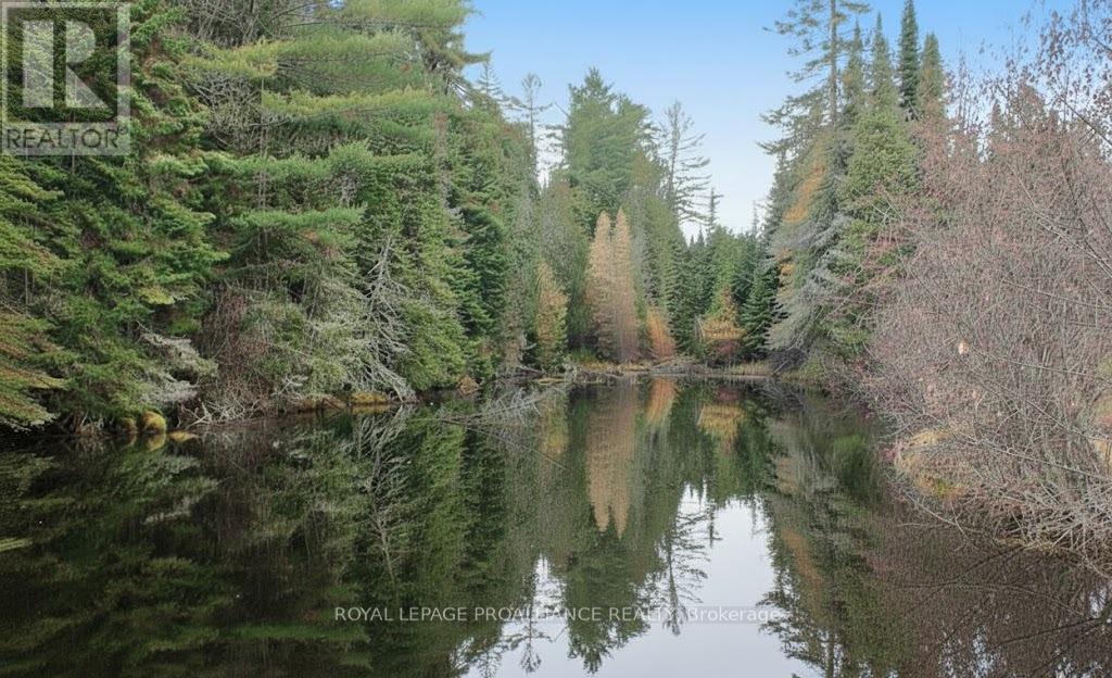 169 Burlanyett Road, Hastings Highlands (Wicklow Ward), Ontario  K0L 2R0 - Photo 9 - X12613224