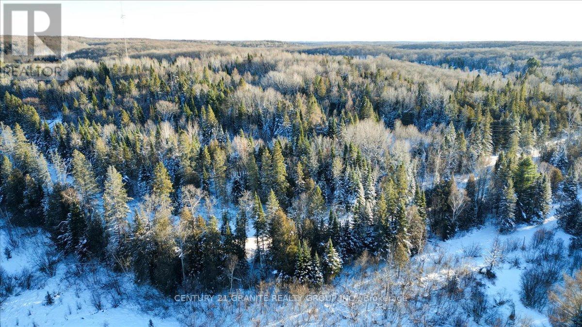 0 Lower Faraday Road, Faraday, Ontario  K0L 1C0 - Photo 10 - X12615048