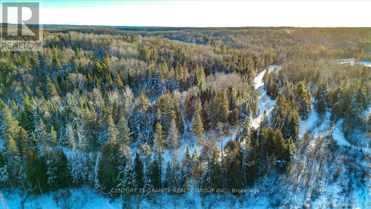 0 Lower Faraday Road, Faraday, Ontario  K0L 1C0 - Photo 11 - X12615048