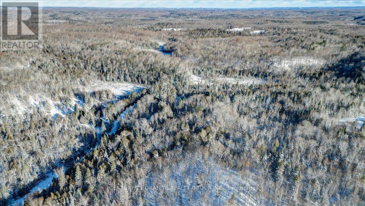 0 Lower Faraday Road, Faraday, Ontario  K0L 1C0 - Photo 4 - X12615048