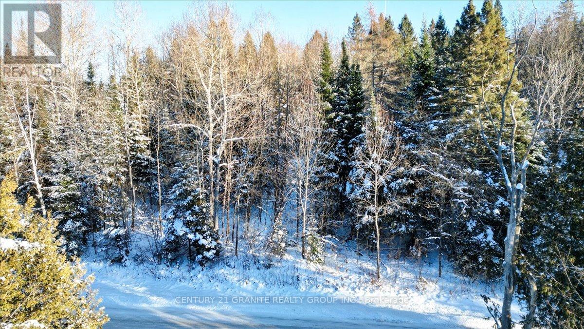 0 Lower Faraday Road, Faraday, Ontario  K0L 1C0 - Photo 6 - X12615048