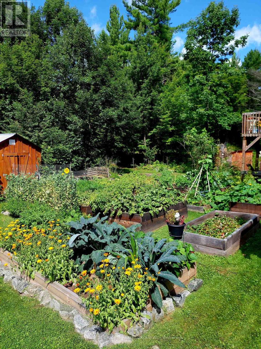 322 Kuno Road, Carlow/mayo (Carlow Ward), Ontario  K0L 1G0 - Photo 36 - X12615118