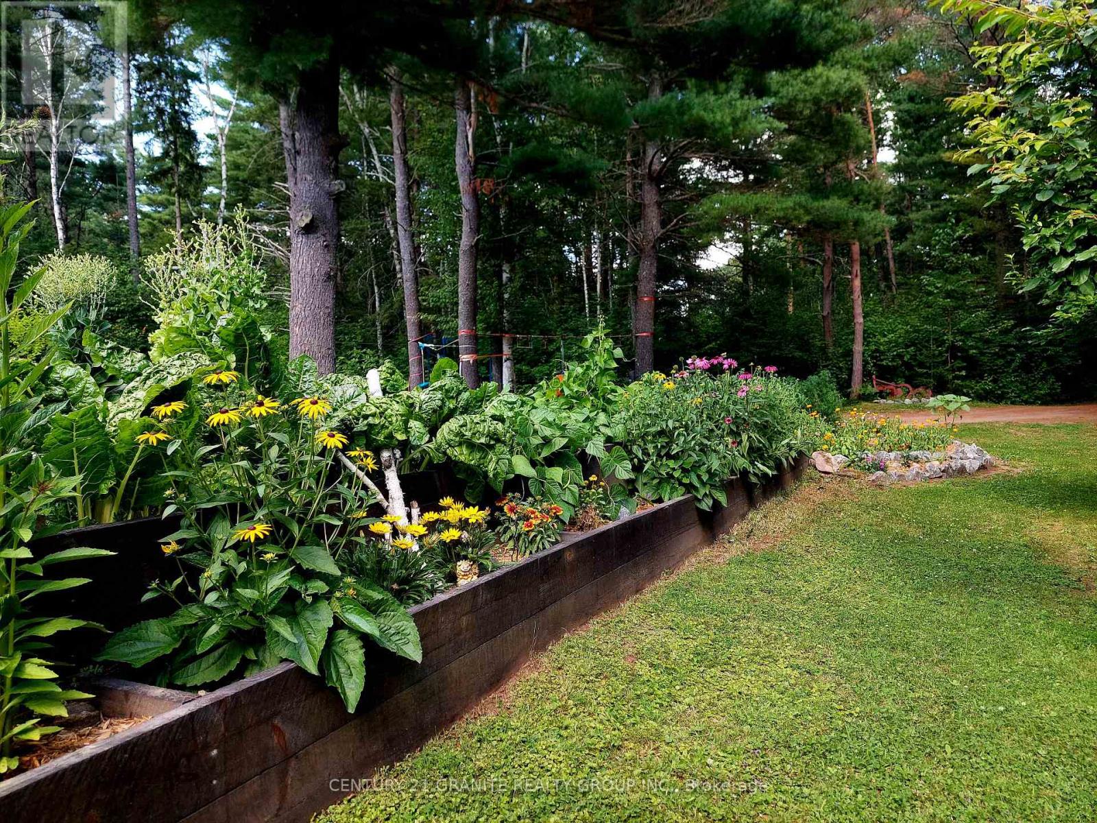 322 Kuno Road, Carlow/mayo (Carlow Ward), Ontario  K0L 1G0 - Photo 37 - X12615118