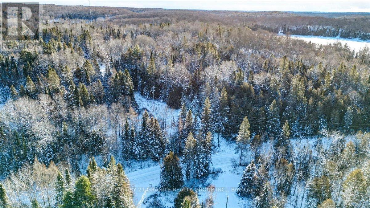 3157 Lower Faraday Road, Faraday, Ontario  K0L 1C0 - Photo 32 - X12615178