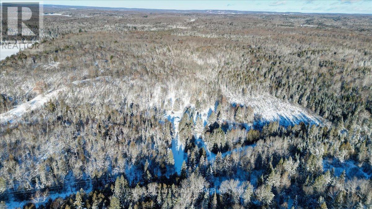 3157 Lower Faraday Road, Faraday, Ontario  K0L 1C0 - Photo 36 - X12615178