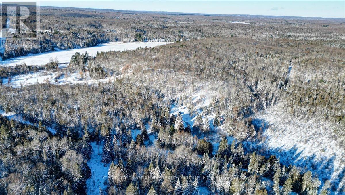 3157 Lower Faraday Road, Faraday, Ontario  K0L 1C0 - Photo 37 - X12615178