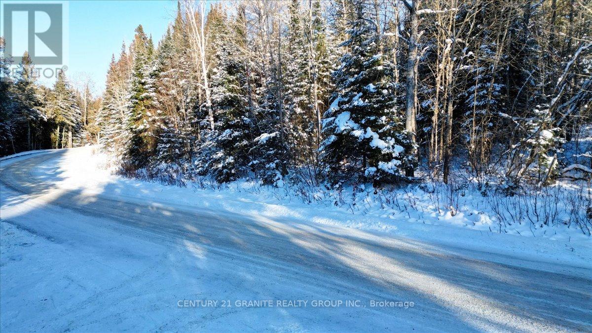 3157 Lower Faraday Road, Faraday, Ontario  K0L 1C0 - Photo 45 - X12615178