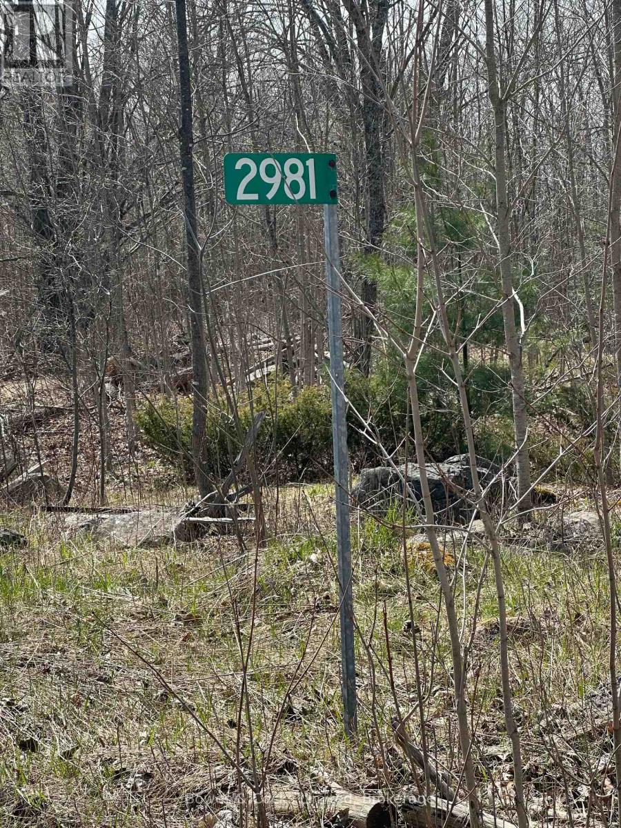 2981 County Road 44, Havelock-Belmont-Methuen (Belmont-Methuen), Ontario  K0L 1Z0 - Photo 2 - X12626982