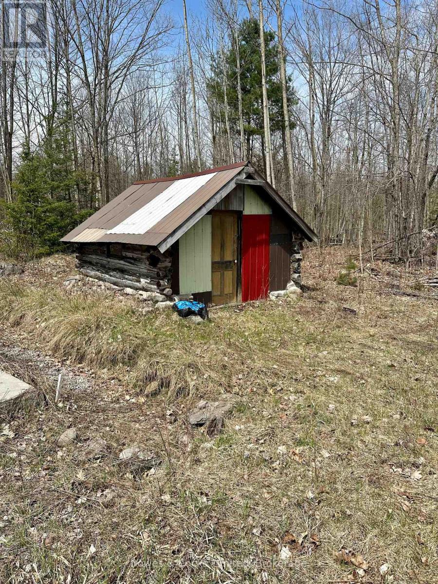 2981 County Road 44, Havelock-Belmont-Methuen (Belmont-Methuen), Ontario  K0L 1Z0 - Photo 5 - X12626982