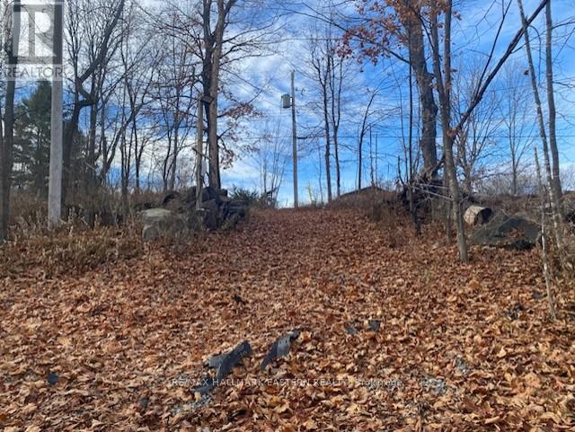 385 Blairton Road, Havelock-Belmont-Methuen (Belmont-Methuen), Ontario  K0L 1Z0 - Photo 32 - X12628610