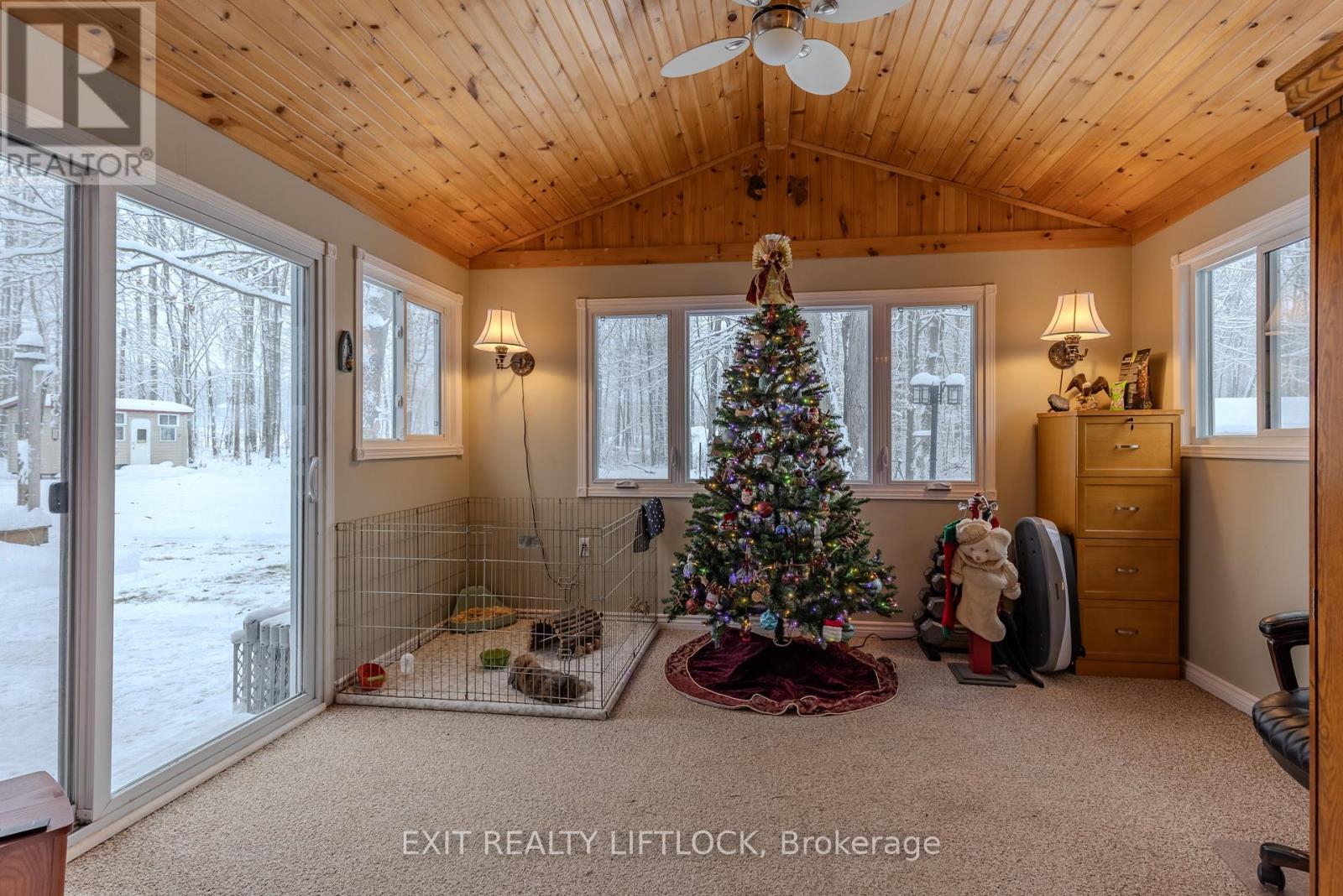 178 Adam & Eve Road, Trent Lakes, Ontario  K0L 1J0 - Photo 24 - X12634600