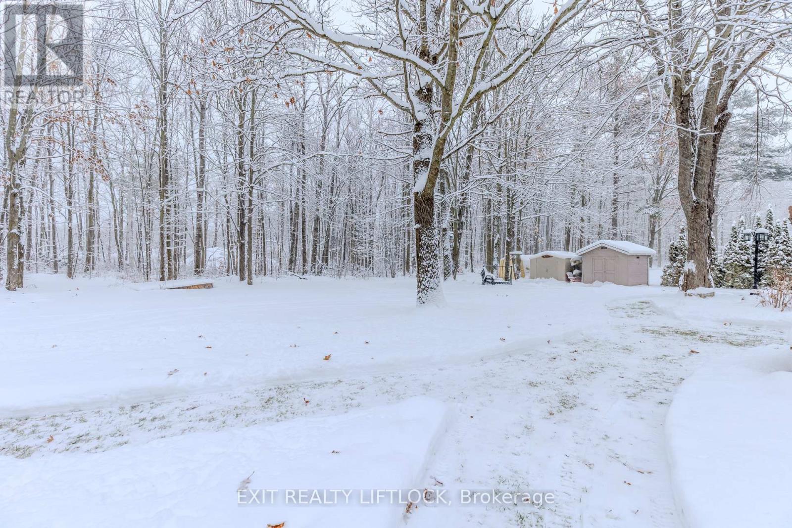 178 Adam & Eve Road, Trent Lakes, Ontario  K0L 1J0 - Photo 32 - X12634600