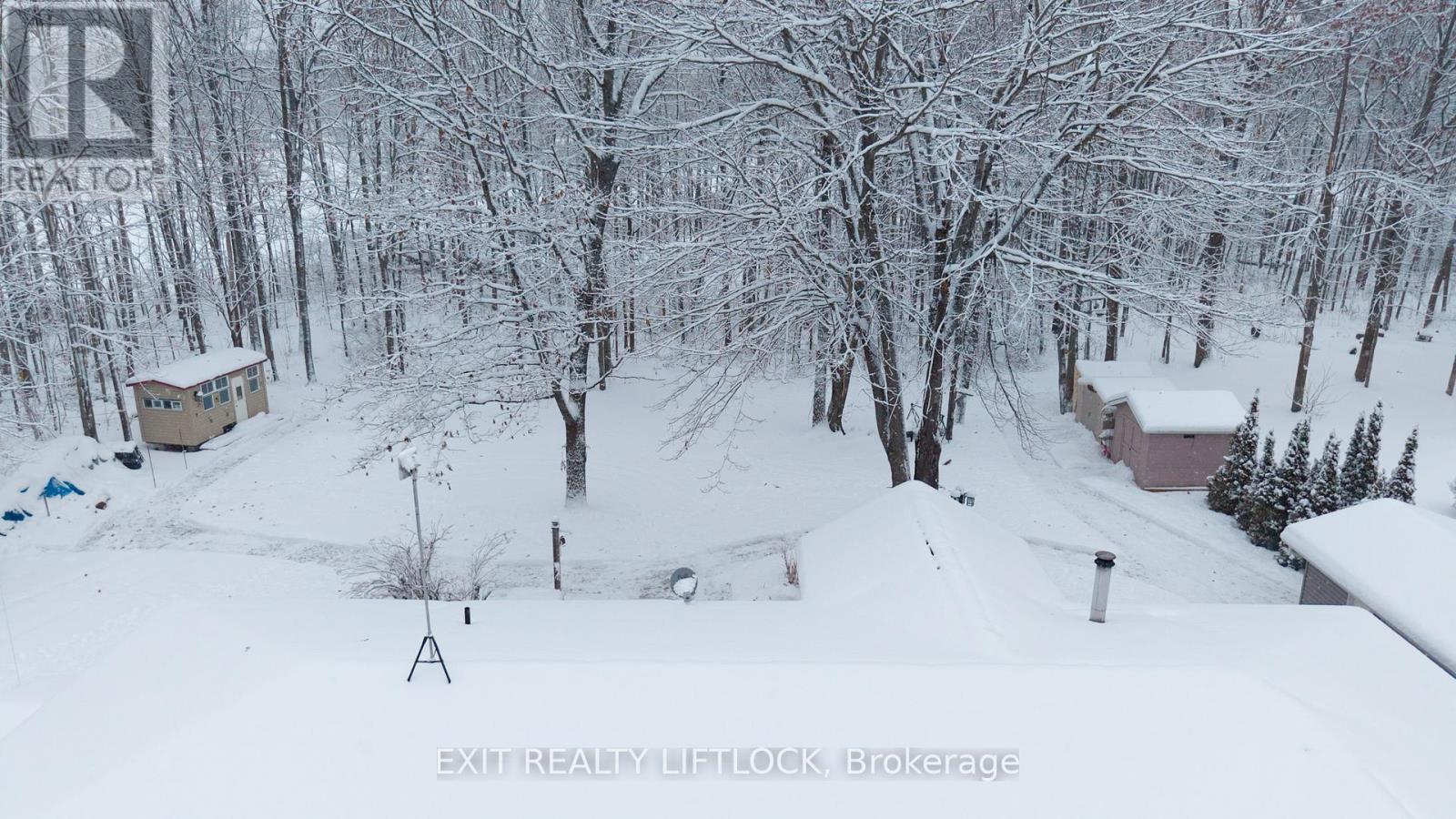 178 Adam & Eve Road, Trent Lakes, Ontario  K0L 1J0 - Photo 41 - X12634600