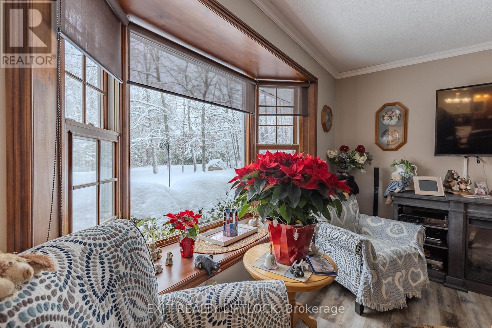 178 Adam & Eve Road, Trent Lakes, Ontario  K0L 1J0 - Photo 9 - X12634600