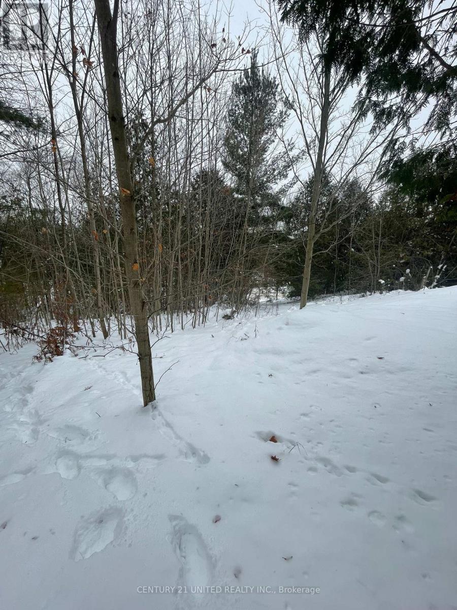 Ptlt 37 Trent View Drive, Trent Hills, Ontario  K0L 1Y0 - Photo 2 - X12637246