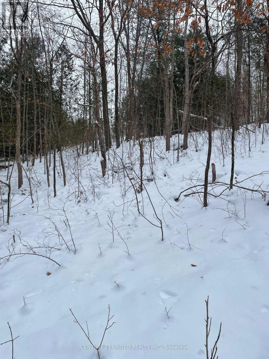 Ptlt 37 Trent View Drive, Trent Hills, Ontario  K0L 1Y0 - Photo 4 - X12637246