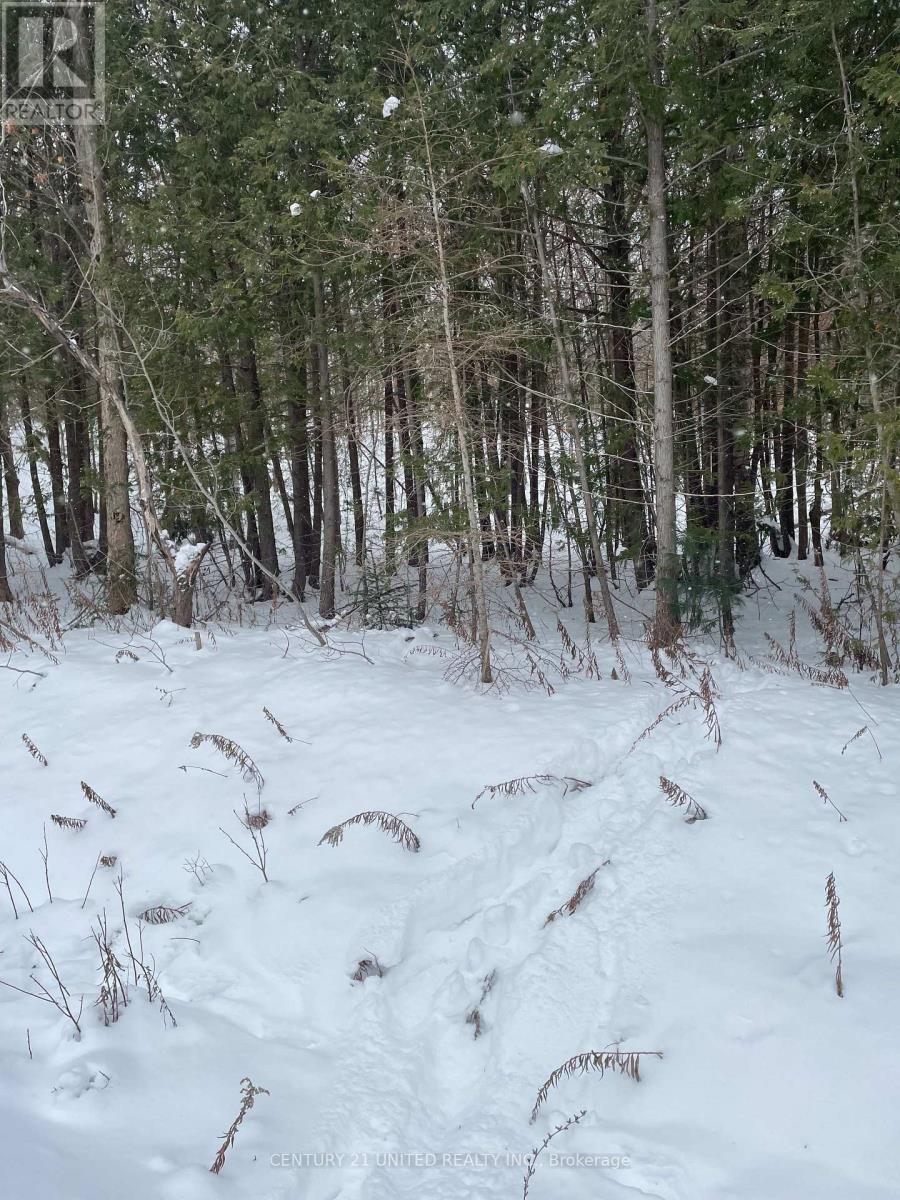 Ptlt 37 Trent View Drive, Trent Hills, Ontario  K0L 1Y0 - Photo 7 - X12637246