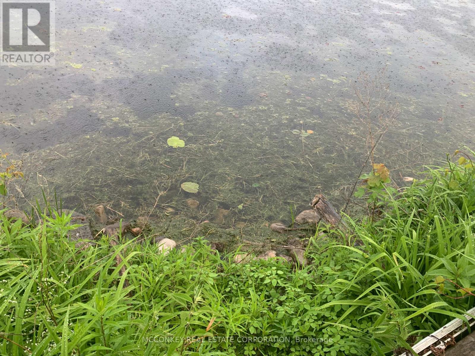 1767 Young's Point Road, Selwyn, Ontario  K0L 2H0 - Photo 40 - X12638280