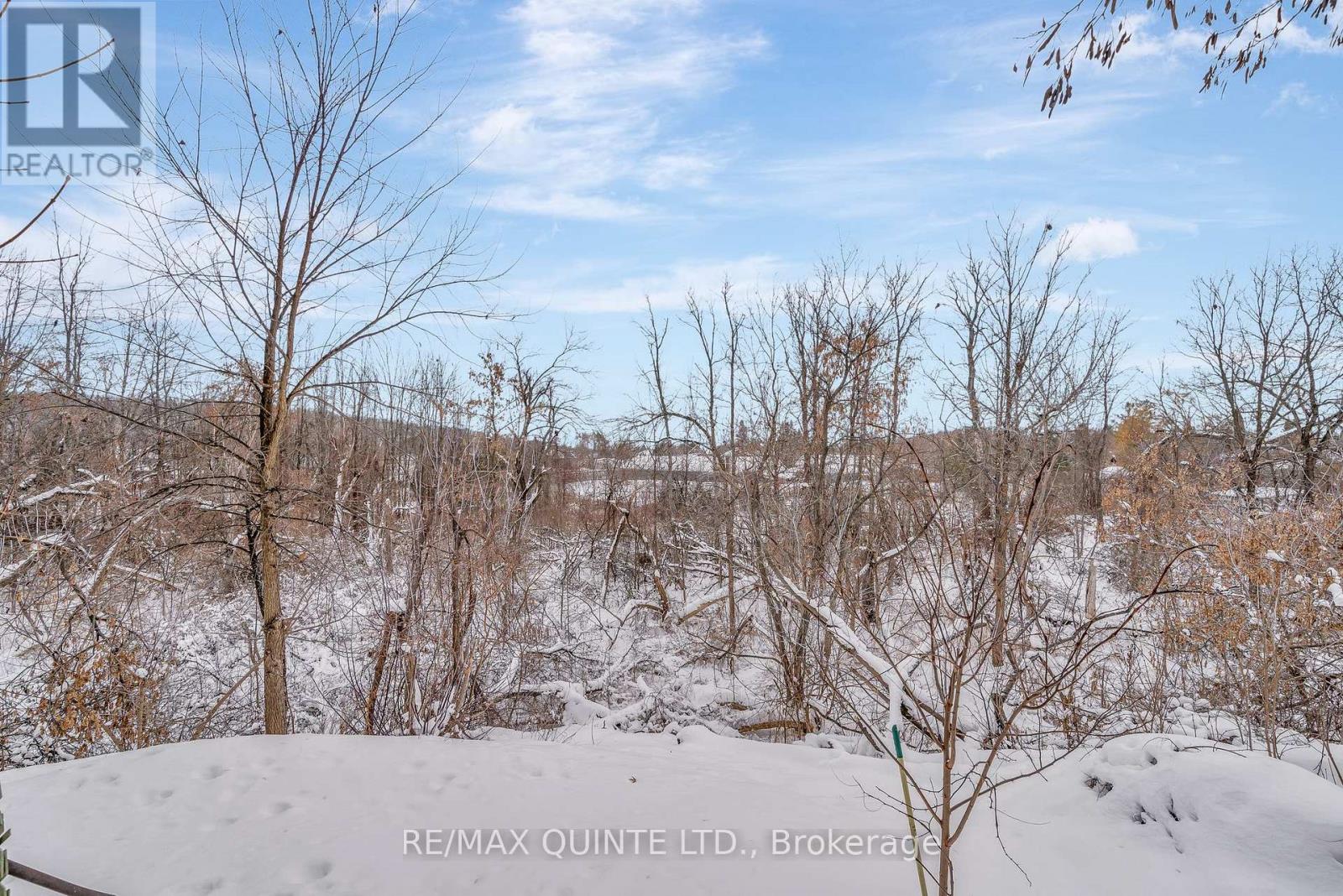 185 Wallace Street, Trent Hills (Campbellford), Ontario  K0L 1L0 - Photo 46 - X12639376