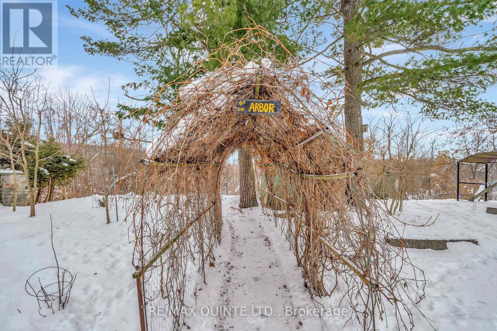 185 Wallace Street, Trent Hills (Campbellford), Ontario  K0L 1L0 - Photo 47 - X12639376