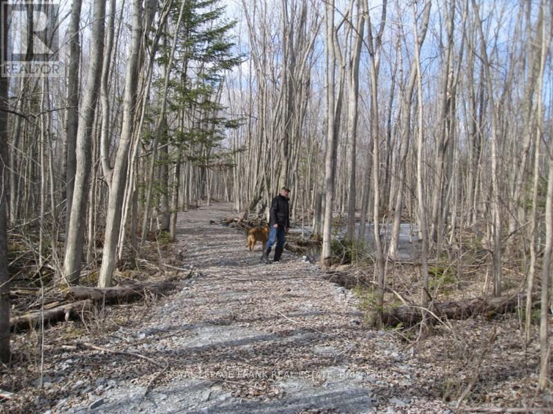 0 Mervin Line, Cavan Monaghan (Cavan-Monaghan), Ontario  K9J 6Z9 - Photo 10 - X12642742