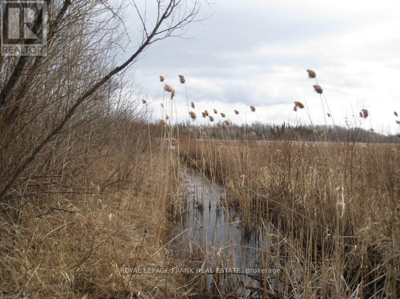 0 Mervin Line, Cavan Monaghan (Cavan-Monaghan), Ontario  K9J 6Z9 - Photo 14 - X12642742