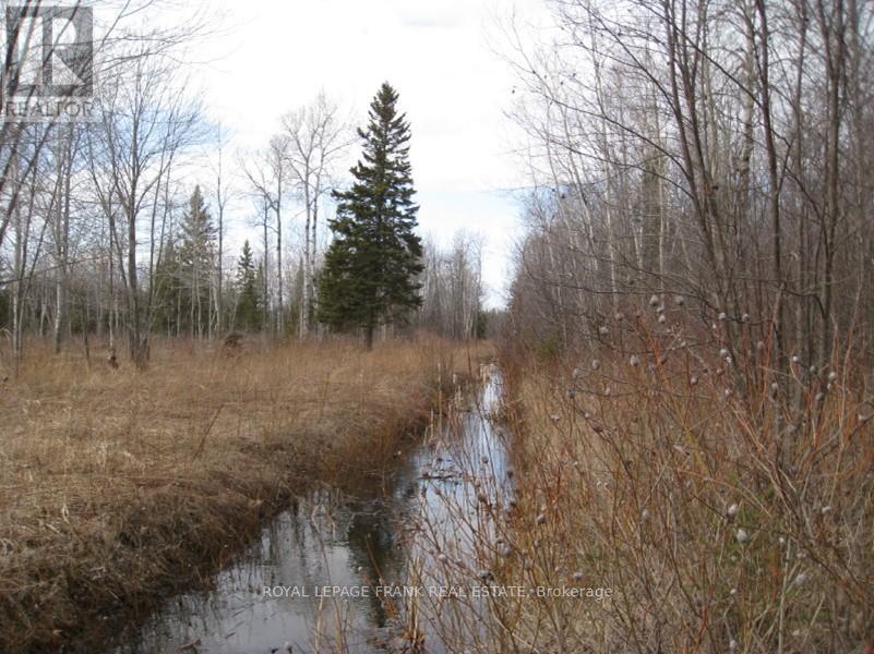 0 Mervin Line, Cavan Monaghan (Cavan-Monaghan), Ontario  K9J 6Z9 - Photo 15 - X12642742