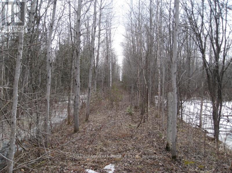 0 Mervin Line, Cavan Monaghan (Cavan-Monaghan), Ontario  K9J 6Z9 - Photo 2 - X12642742