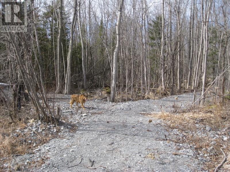 0 Mervin Line, Cavan Monaghan (Cavan-Monaghan), Ontario  K9J 6Z9 - Photo 3 - X12642742