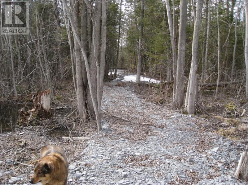 0 Mervin Line, Cavan Monaghan (Cavan-Monaghan), Ontario  K9J 6Z9 - Photo 5 - X12642742