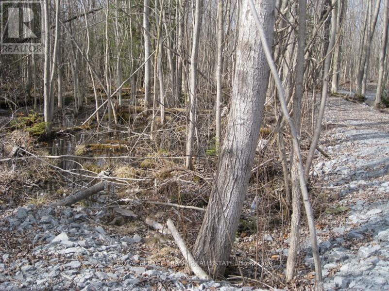 0 Mervin Line, Cavan Monaghan (Cavan-Monaghan), Ontario  K9J 6Z9 - Photo 6 - X12642742