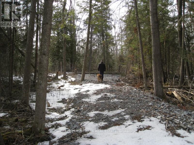 0 Mervin Line, Cavan Monaghan (Cavan-Monaghan), Ontario  K9J 6Z9 - Photo 8 - X12642742