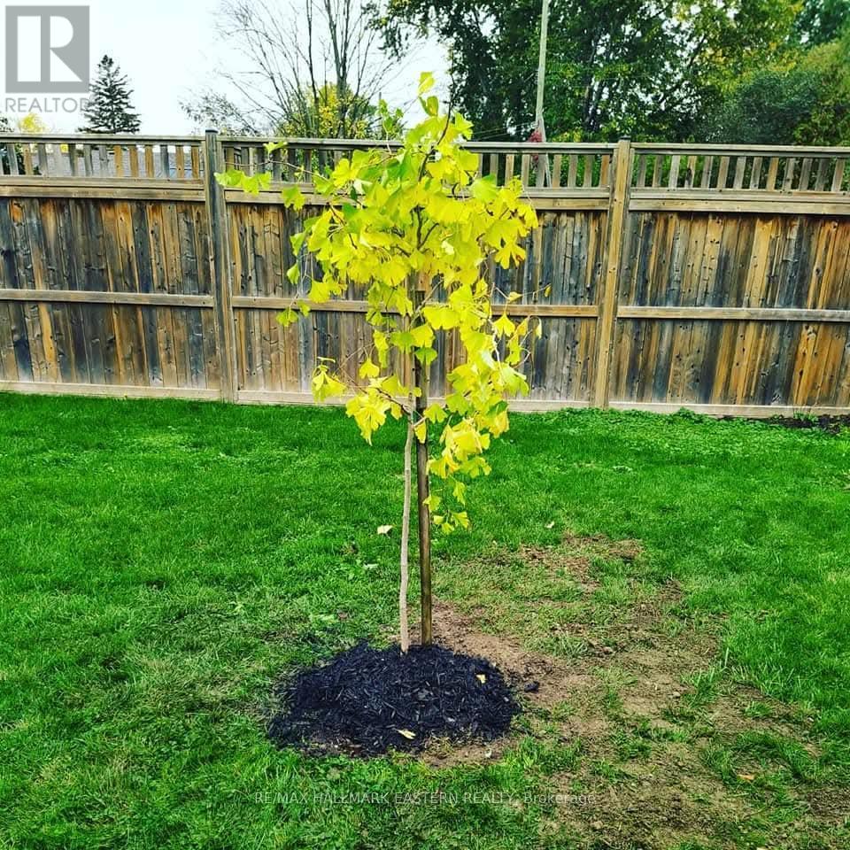 845 Gilbert Street, Peterborough (Northcrest Ward 5), Ontario  K9H 6G6 - Photo 39 - X12643218