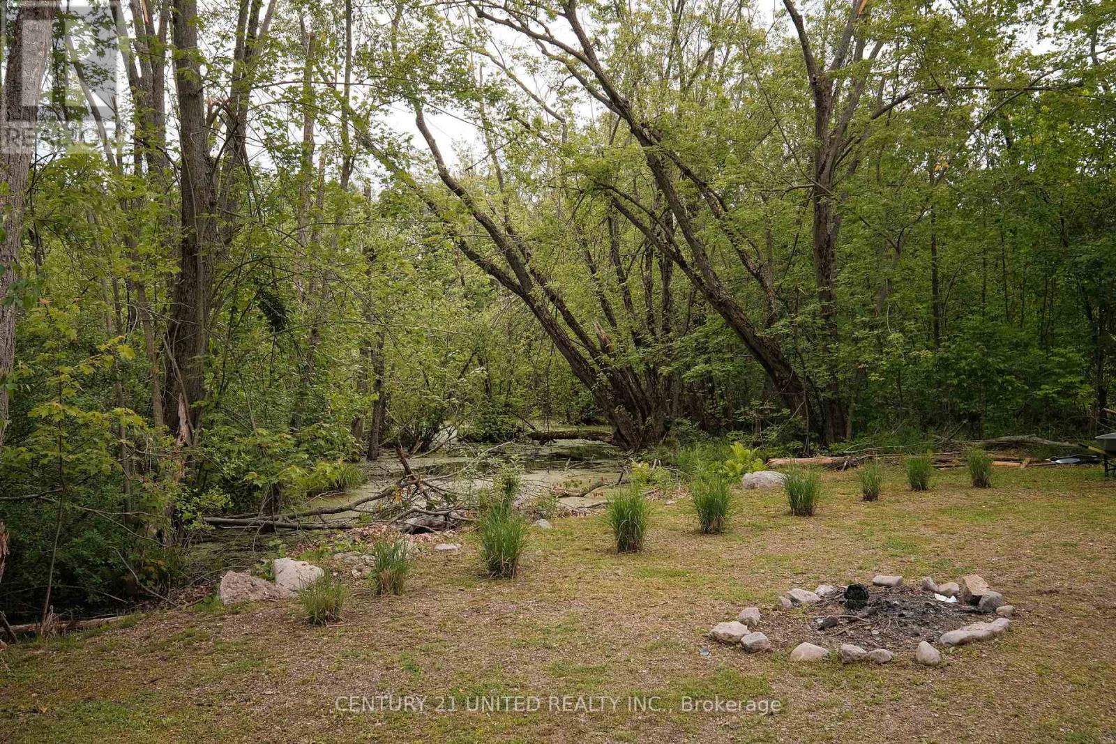 4 Rollies Bay Road E, Curve Lake First Nation 35 (Curve Lake First Nation), Ontario  K0L 1R0 - Photo 28 - X12643700