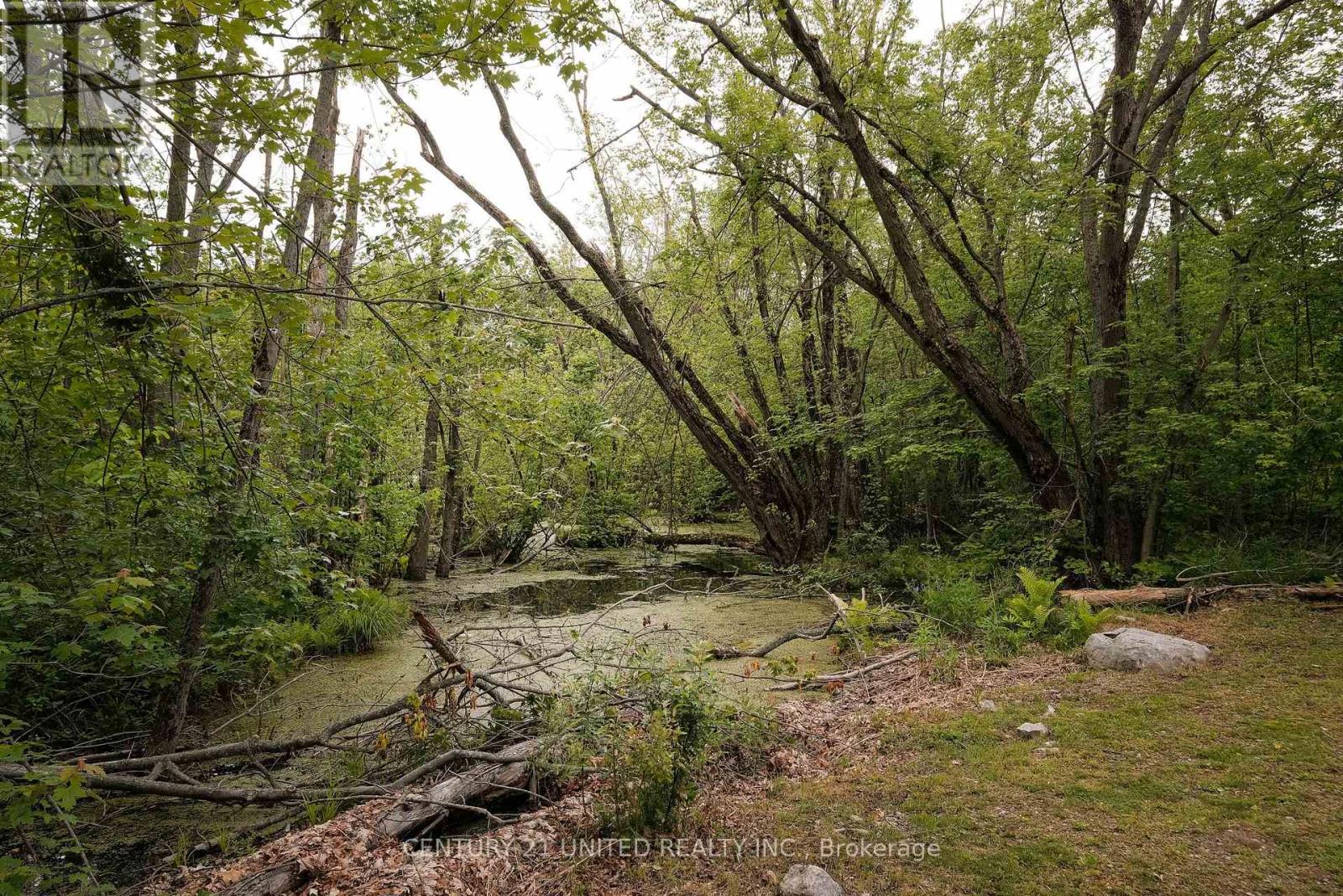 4 Rollies Bay Road E, Curve Lake First Nation 35 (Curve Lake First Nation), Ontario  K0L 1R0 - Photo 29 - X12643700