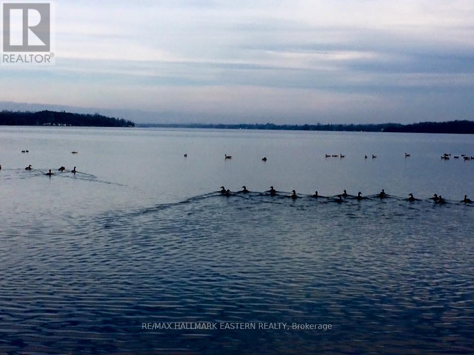 1500 Yankee Line, Selwyn, Ontario  K0L 1T0 - Photo 11 - X12648156