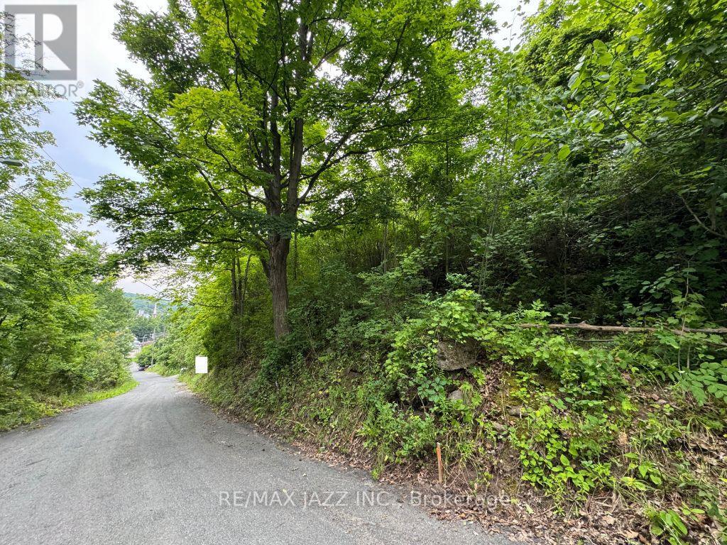 0 Maple Street, Trent Hills (Campbellford), Ontario  K0L 1L0 - Photo 9 - X12653420