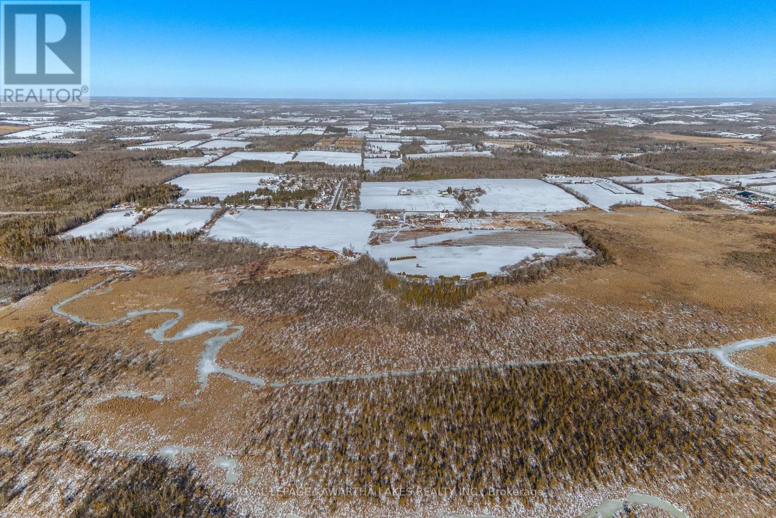 1657 Mount Pleasant Road, Cavan Monaghan (Cavan Twp), Ontario  L0A 1C0 - Photo 9 - X12653980