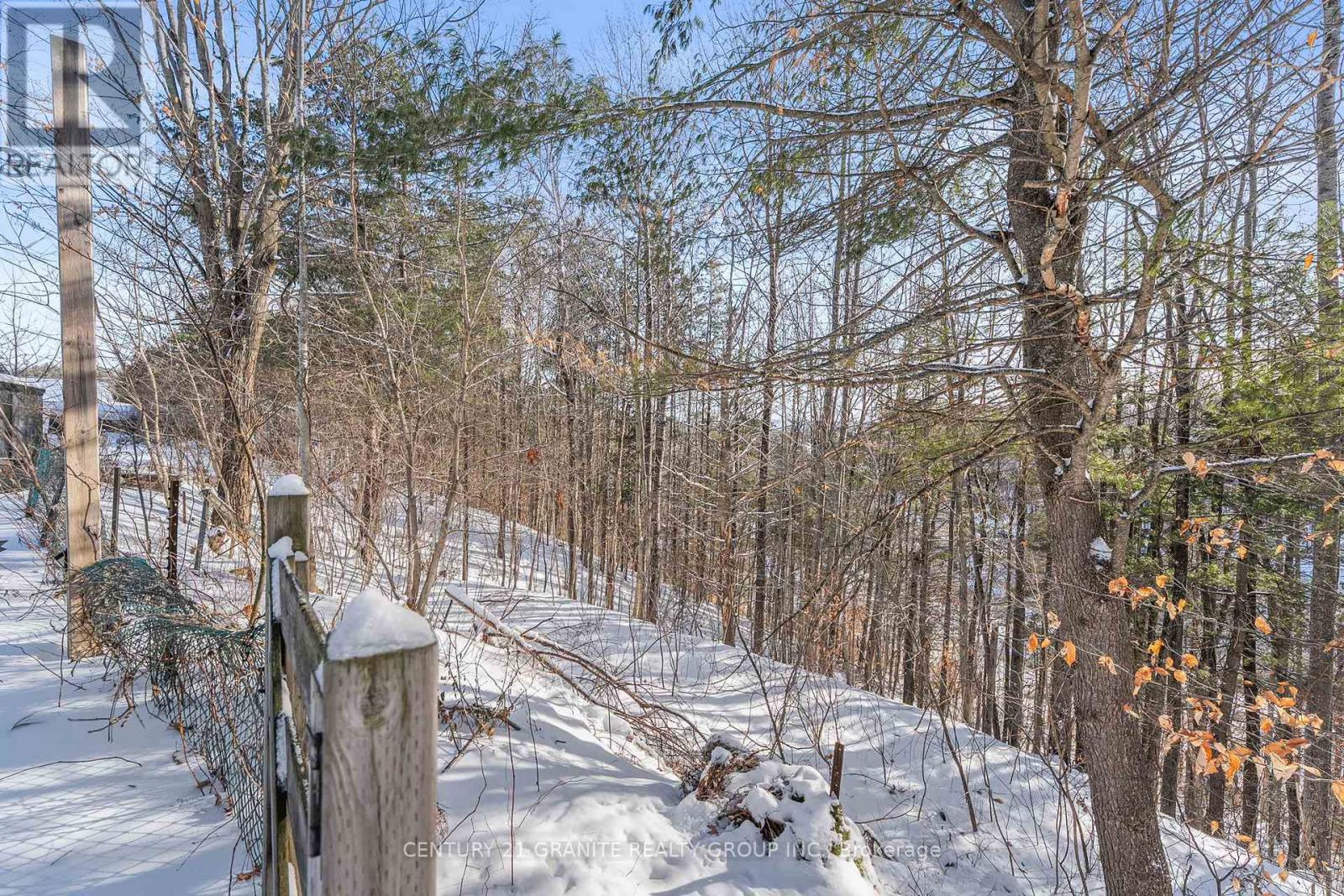 64 Johnston Crescent, Bancroft (Bancroft Ward), Ontario  K0L 1C0 - Photo 42 - X12654678