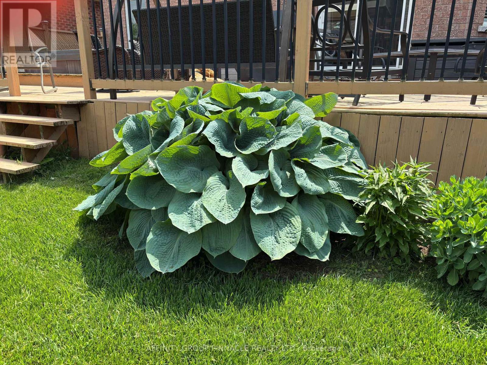 8 Horton Place, Kawartha Lakes (Lindsay), Ontario  K9V 0C2 - Photo 50 - X12661864