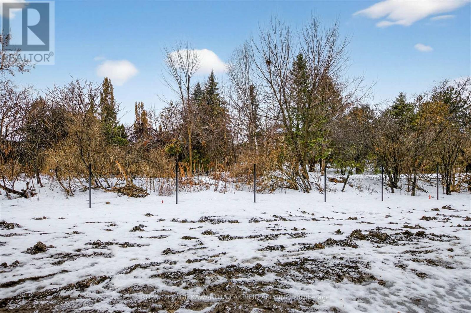 77 Watts Mew, Kawartha Lakes (Lindsay), Ontario  K9V 0T3 - Photo 48 - X12665344