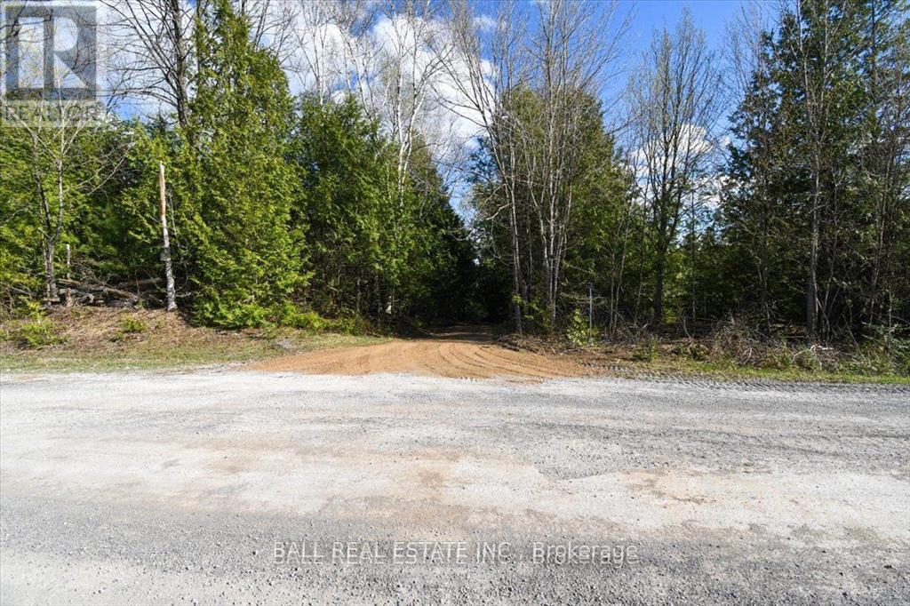 Pt Lts 11 & 12 As Part 2 Road, North Kawartha, Ontario  K0L 1A0 - Photo 3 - X12668122