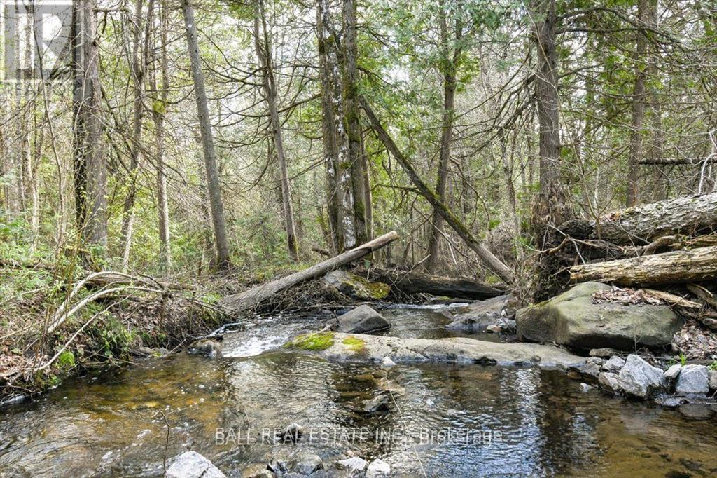 0 Clydesdale Road, North Kawartha, Ontario  K0L 1A0 - Photo 4 - X12668694
