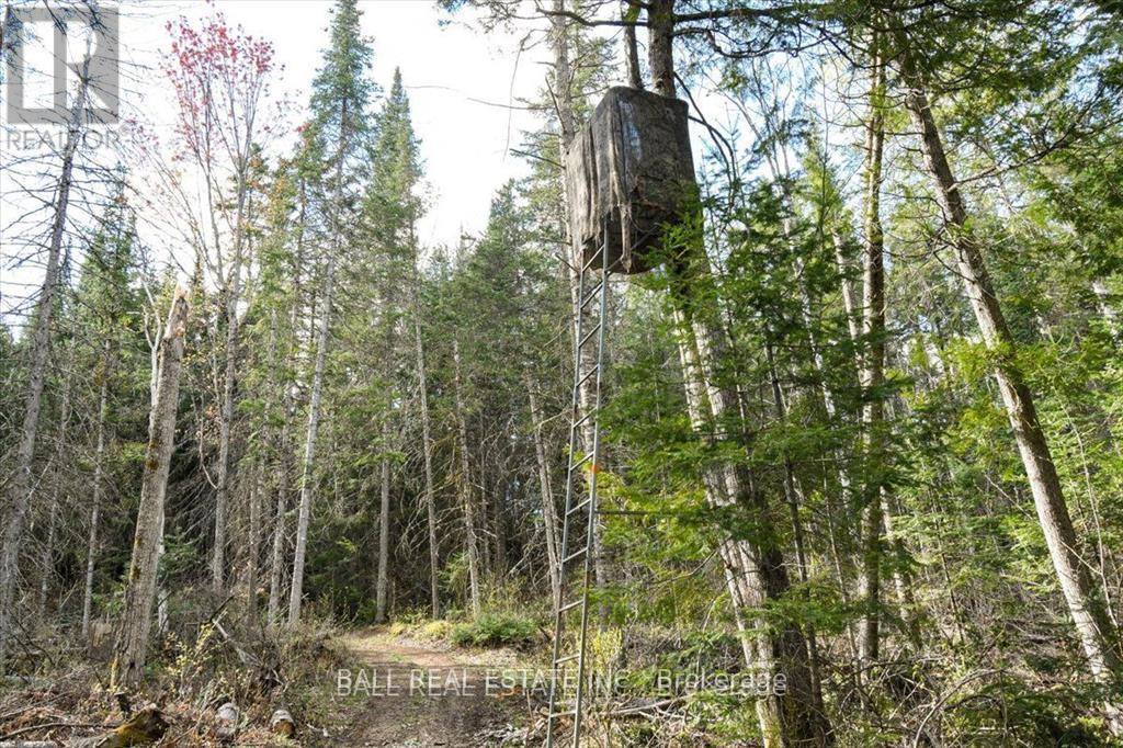 0 Clydesdale Road, North Kawartha, Ontario  K0L 1A0 - Photo 5 - X12668694