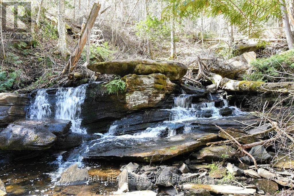 0 Clydesdale Road, North Kawartha, Ontario  K0L 1A0 - Photo 6 - X12668694