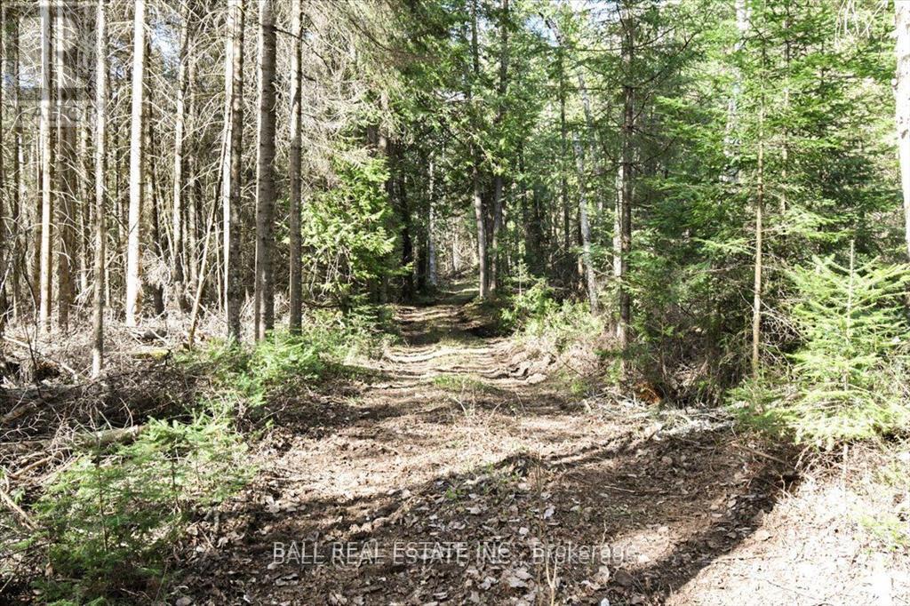 0 Clydesdale Road, North Kawartha, Ontario  K0L 1A0 - Photo 9 - X12668694