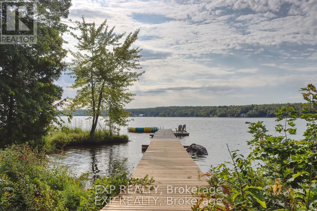 65 Fire Route, Trent Lakes, Ontario  K0L 1J0 - Photo 28 - X12668902