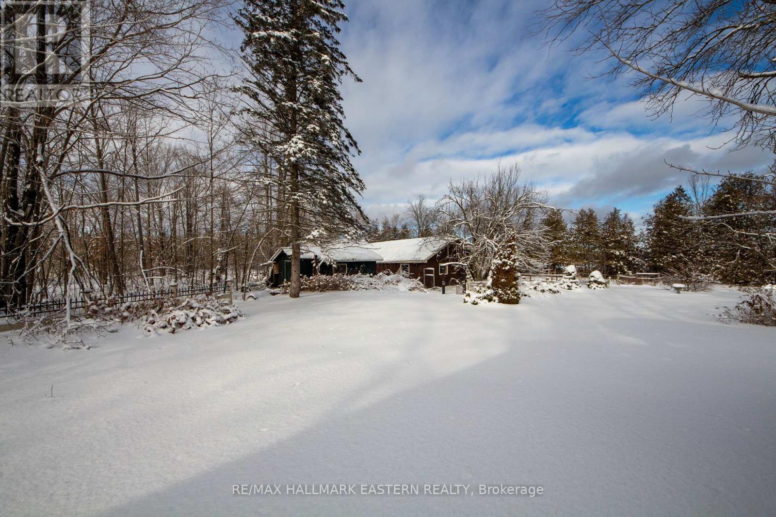 764 County Rd 40, Douro-Dummer, Ontario  K0L 2V0 - Photo 40 - X12669848