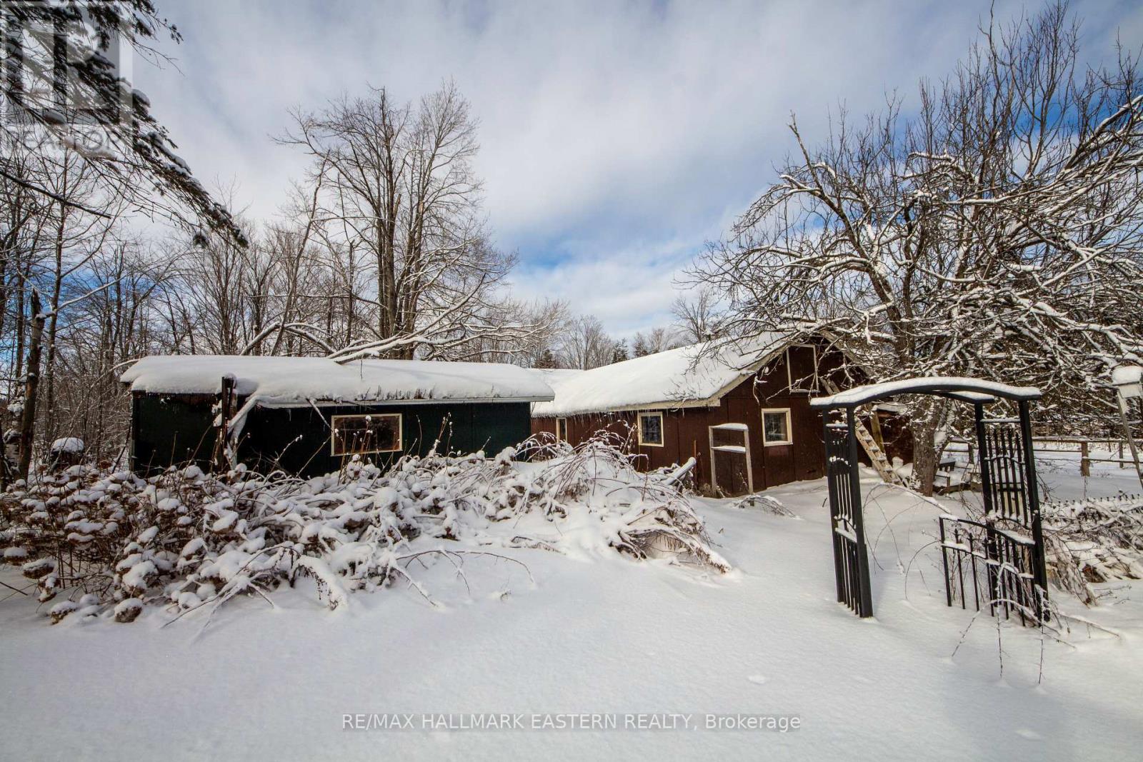 764 County Rd 40, Douro-Dummer, Ontario  K0L 2V0 - Photo 41 - X12669848