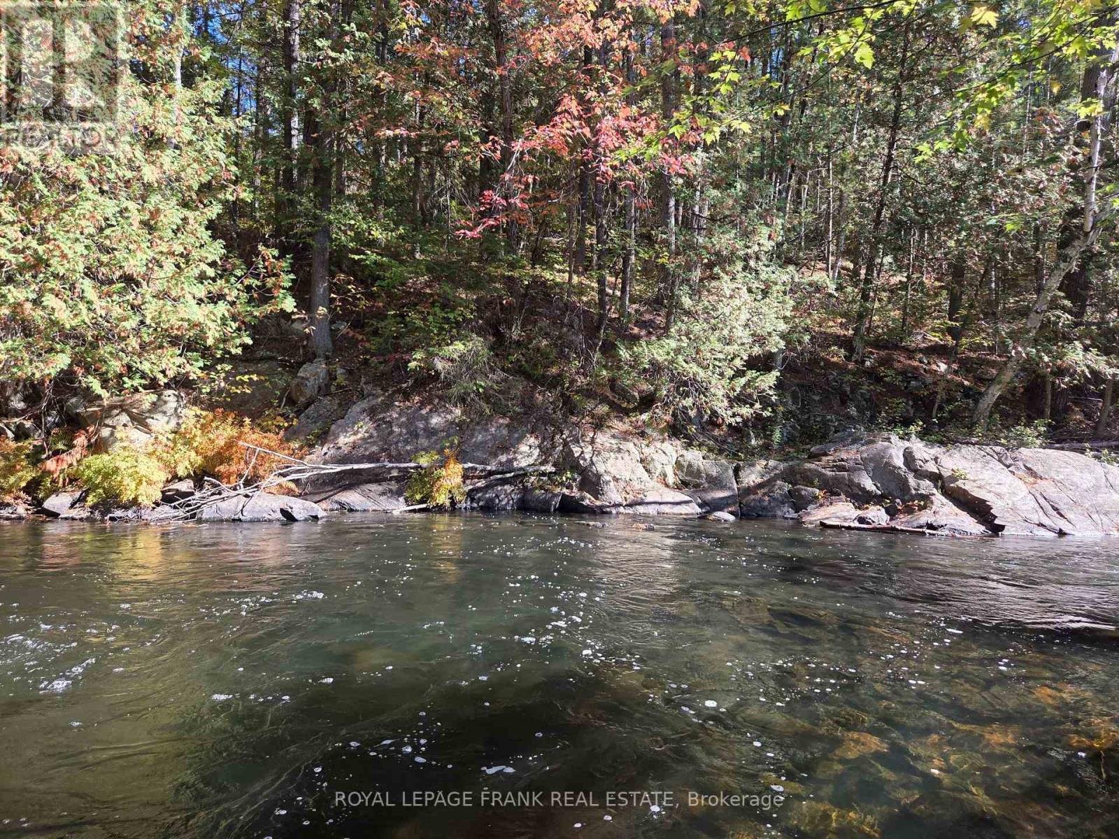 8847 Highway 28, North Kawartha, Ontario  K0L 1A0 - Photo 22 - X12677536